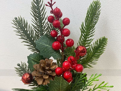 Chậu thông mini để bàn cành đỏ mọng cao 28cm đế gỗ [Nhiều kiểu] CHAUCAYGIA-19